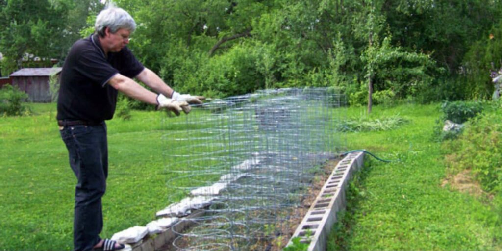 How do I install my tomato cage