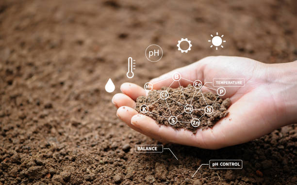 Guide to High Nitrogen Fertilizers