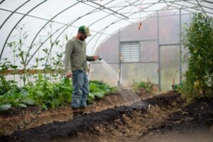 Avoid overwatering and underwatering