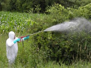 Foliar Spray Technique