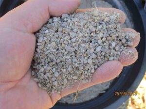 Horticultural Sand