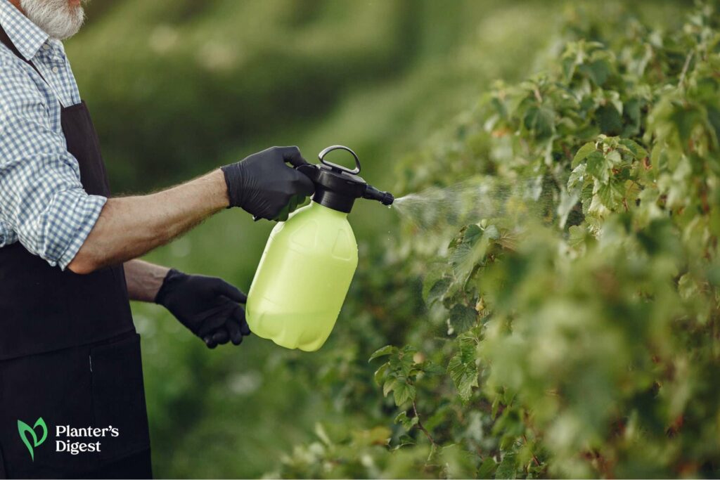 Killing a Tree with Bleach It's Possible and Here's How