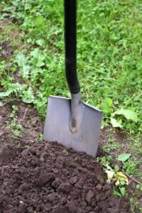 Loosen the soil occasionally