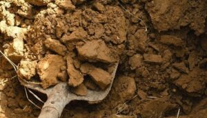 Silt soil