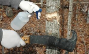 Hack-and-Squirt Technique