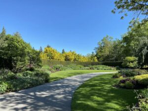 Summary: Tall Fescue and Perennial Ryegrass Compared