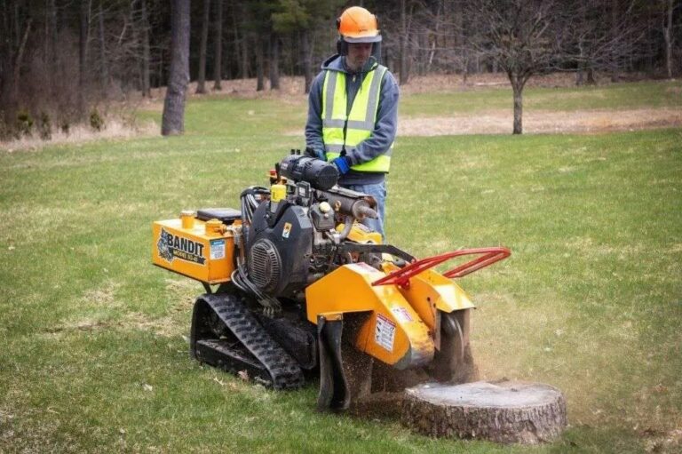 Easy steps on how to kill trees with diesel [2025]