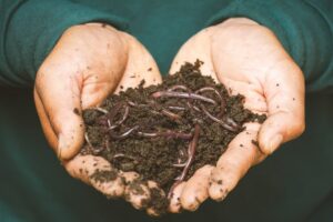 Add natural soil looseners