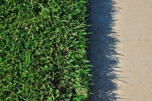 Where to Use Bermuda Grass