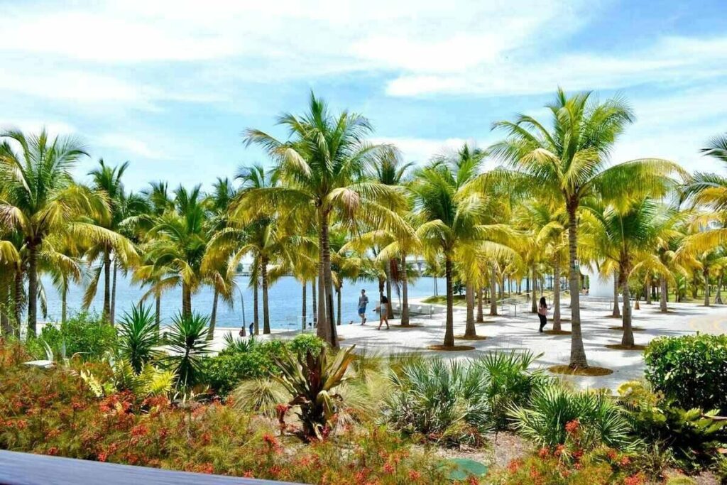 11 Plants That Look Like Palm Trees