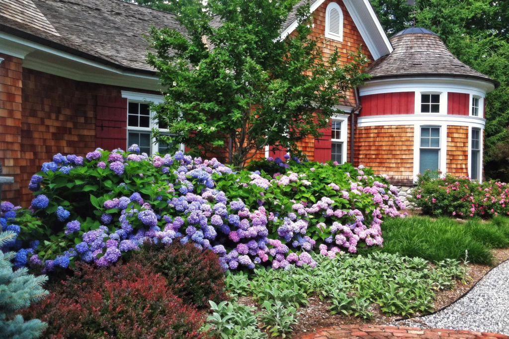 40 Low-Maintenance Shrubs Perfect for Your Front Yard