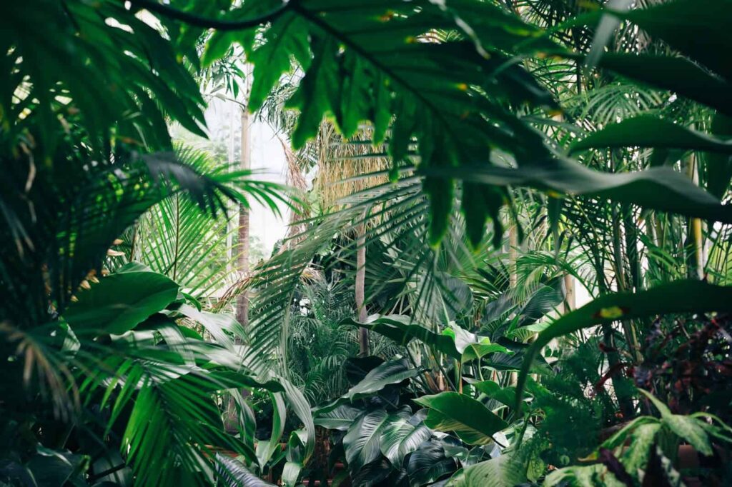 50 Best US Cities for Plant Lovers