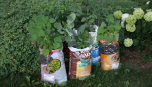 Birdseed Bag