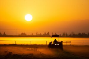 Fresno, California
