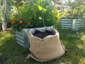 Burlap Sacks