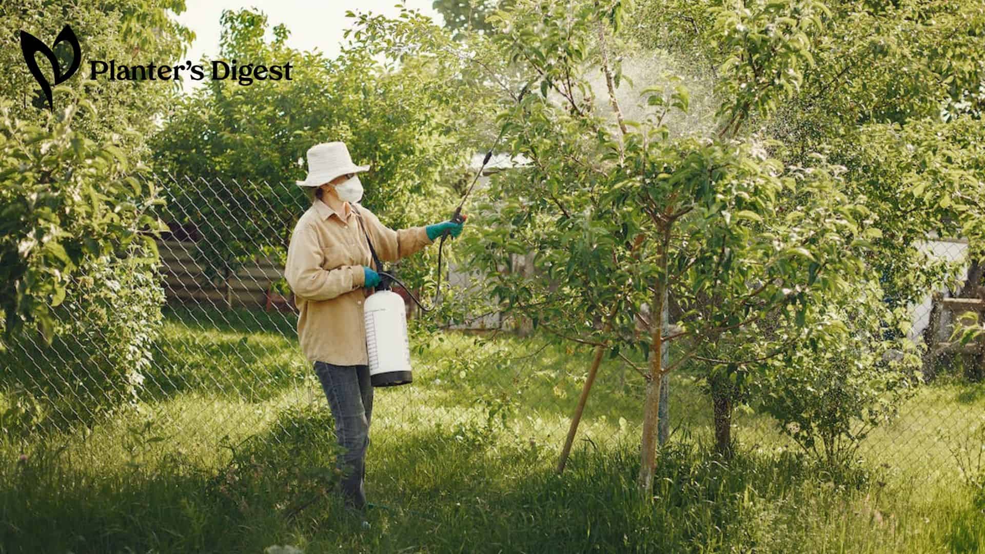 Can 2,4-D kill trees