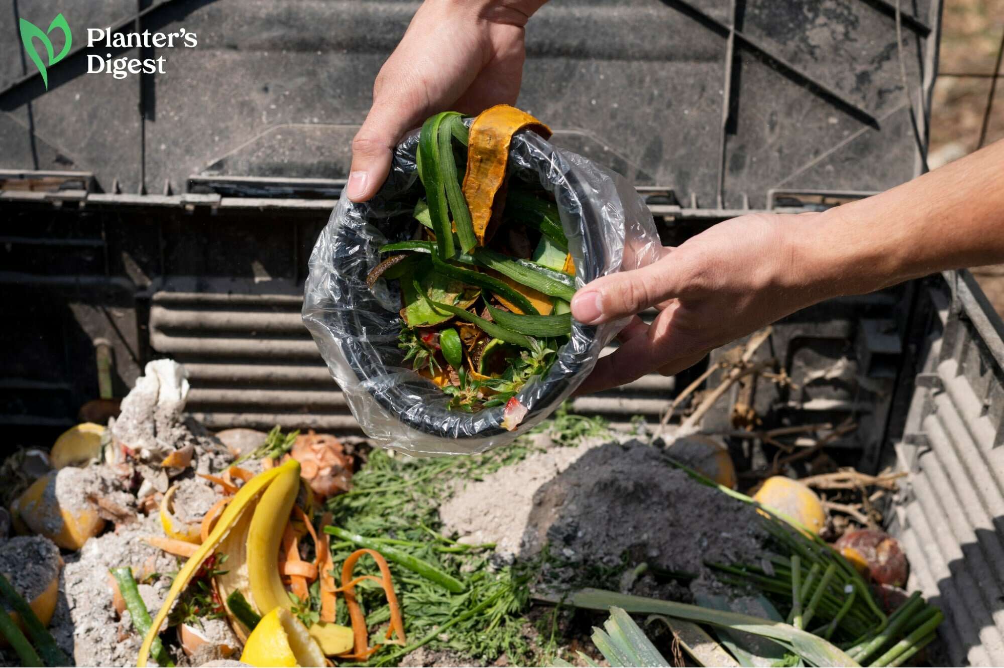 Compost or Manure