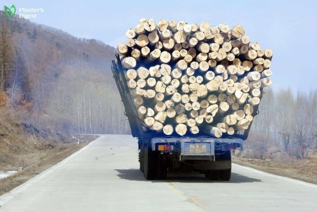 How much wood can fit in pickup trucks