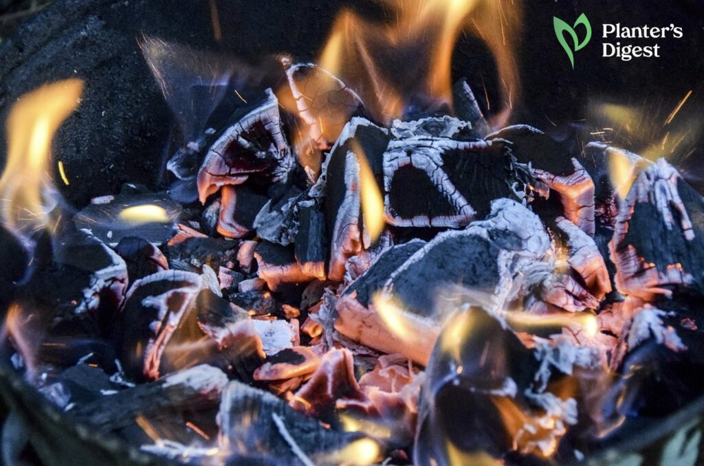 Firewood Smoldering, Not Burning
