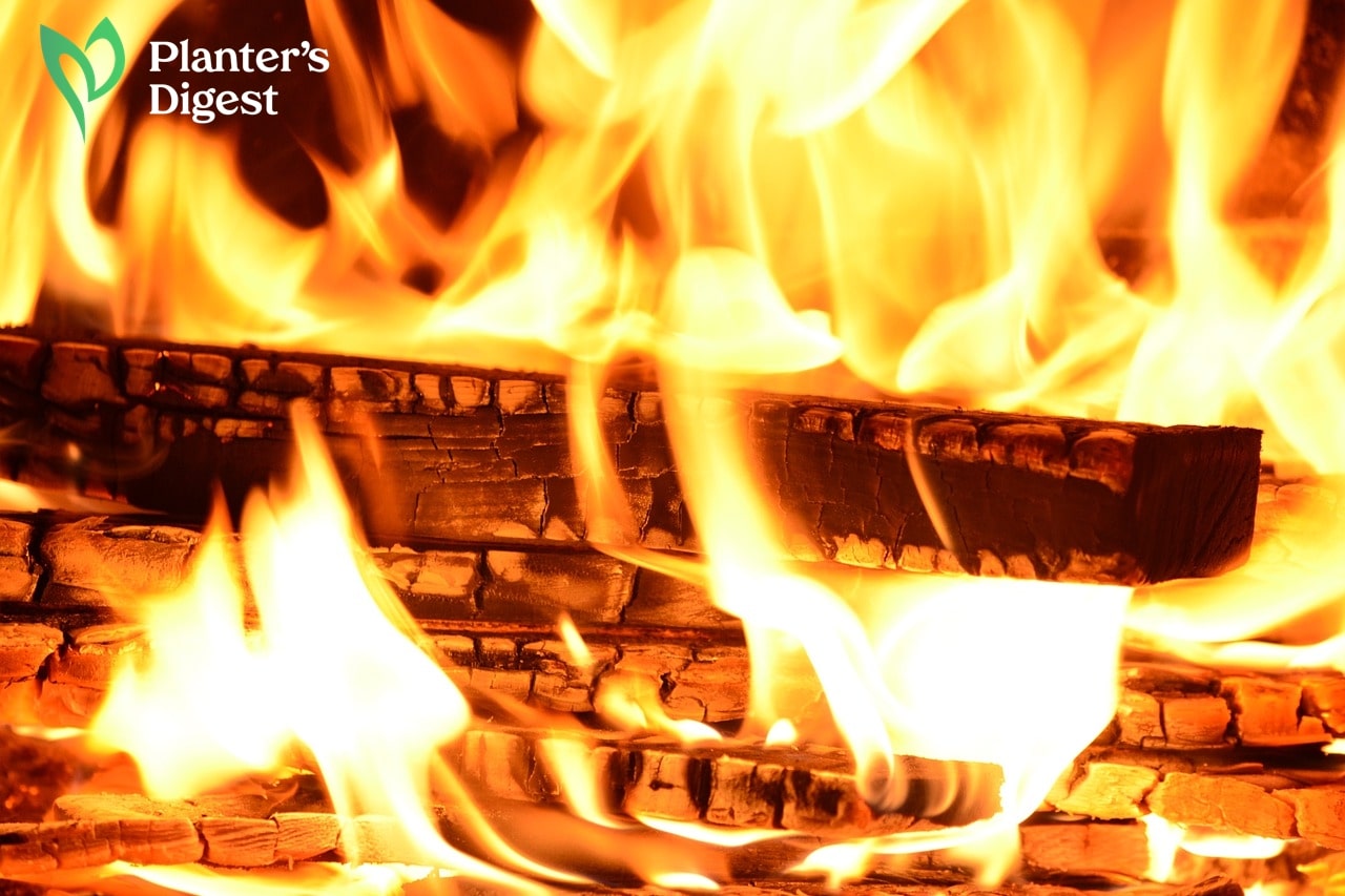 How Long Does Firewood Burn