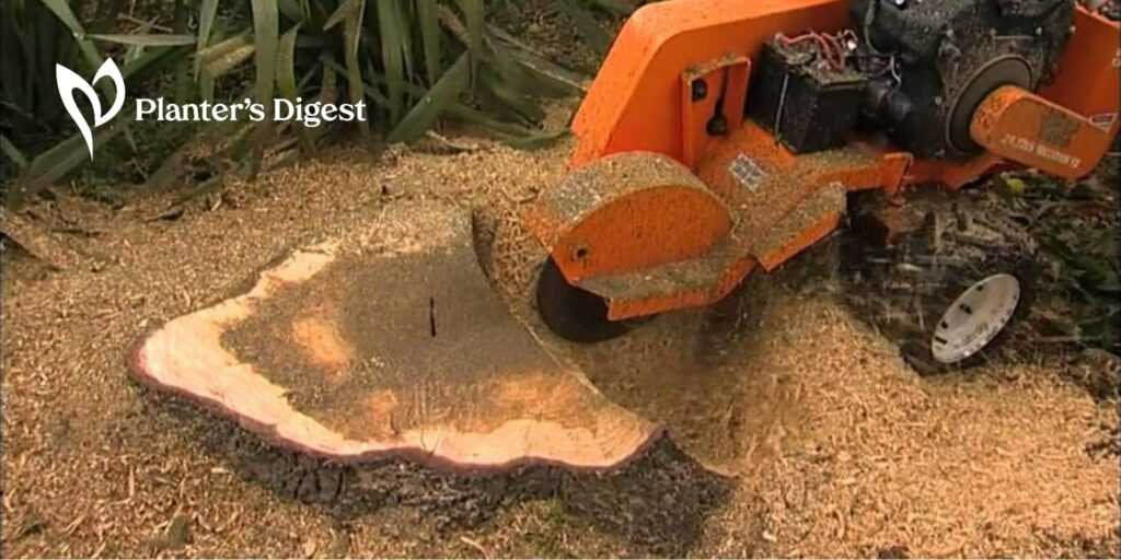 Stump Grinding 101
