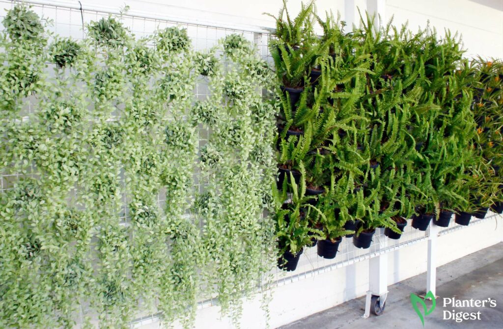 How to Build a Vertical Garden from Scratch