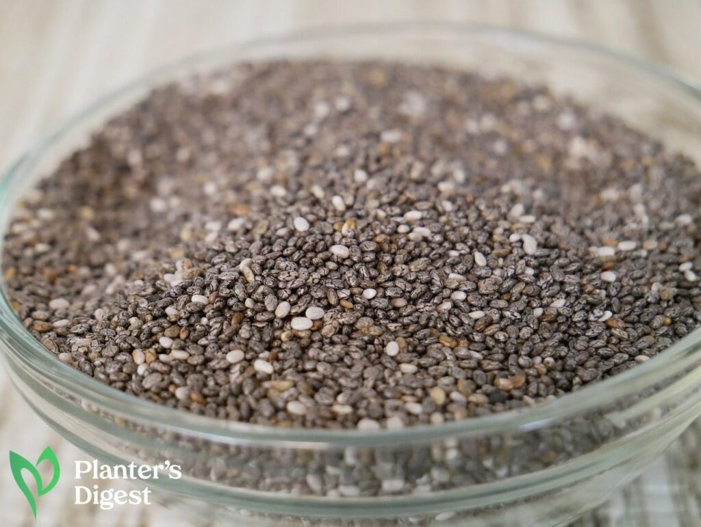 Where do Chia Seeds From