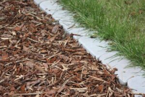Add a layer of mulch