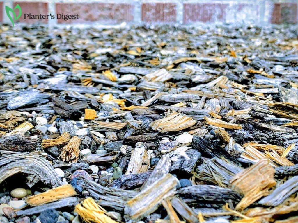 Best Mulches for Vegetable Gardens