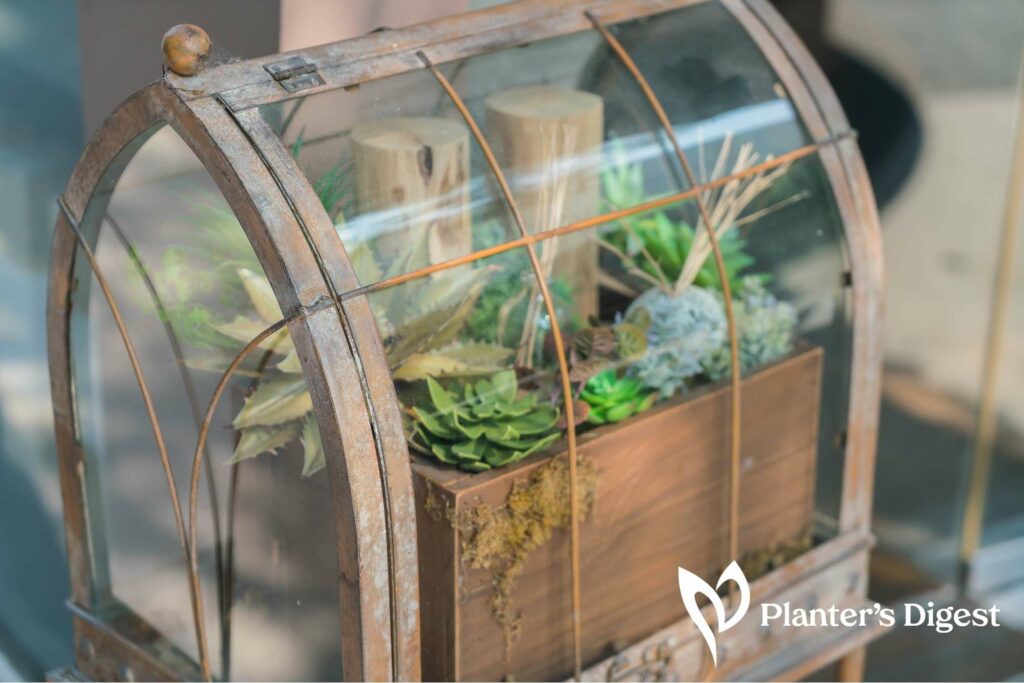 How to Use Humidity Dome for Seedlings