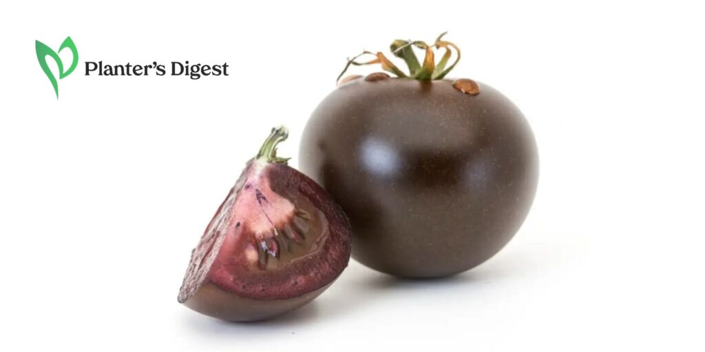 Purple Tomato Varieties