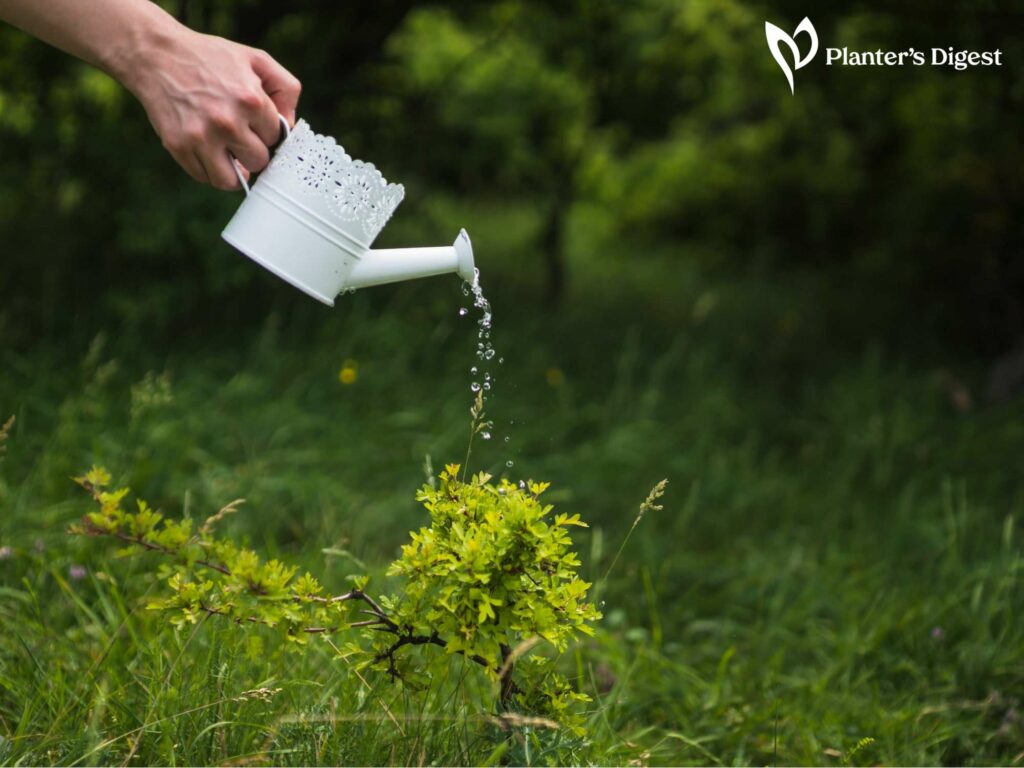 Which Soil Hold Most Water