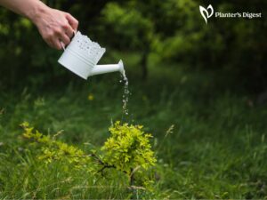 Which Soil Hold Most Water