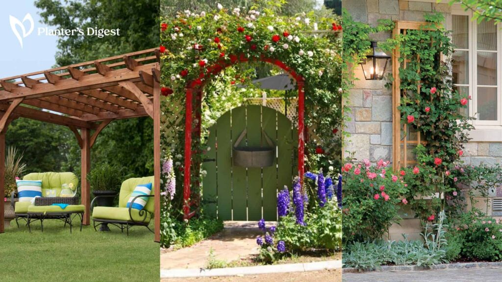 Difference Between Pergola and Trellis