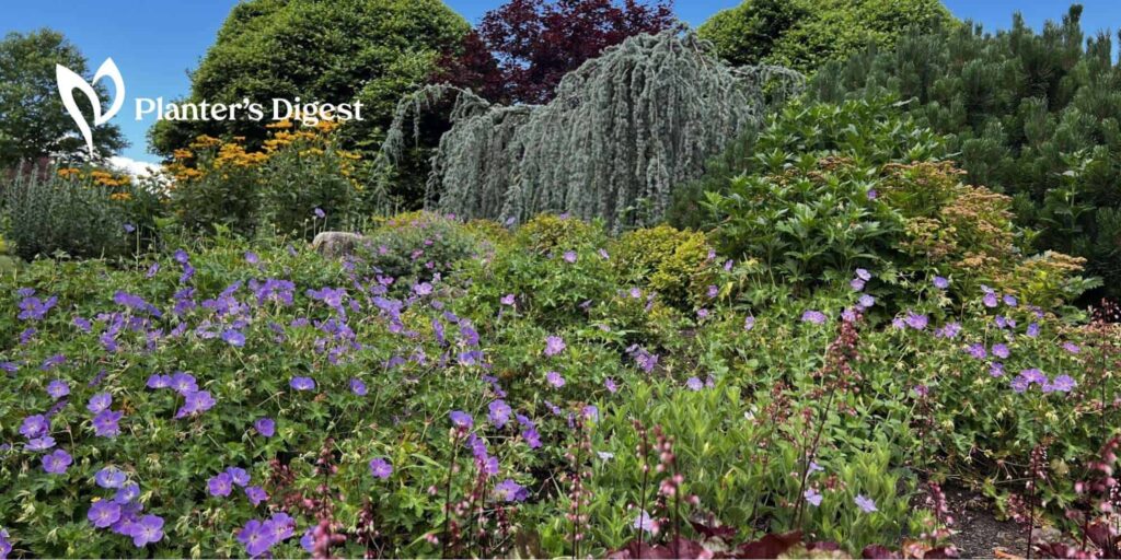 Gardening Zones in Massachusetts