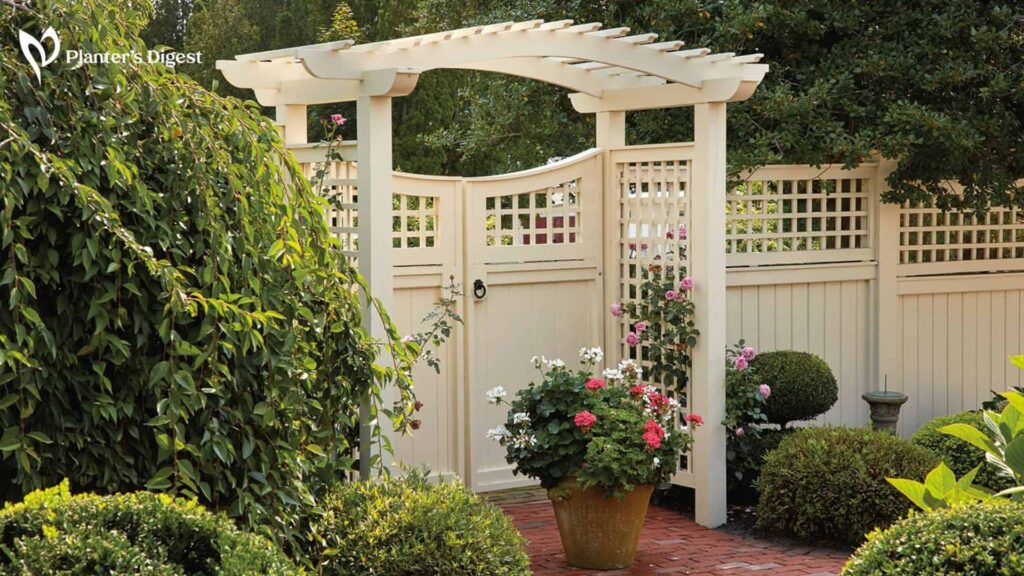 Importance of Arbor in Gardening