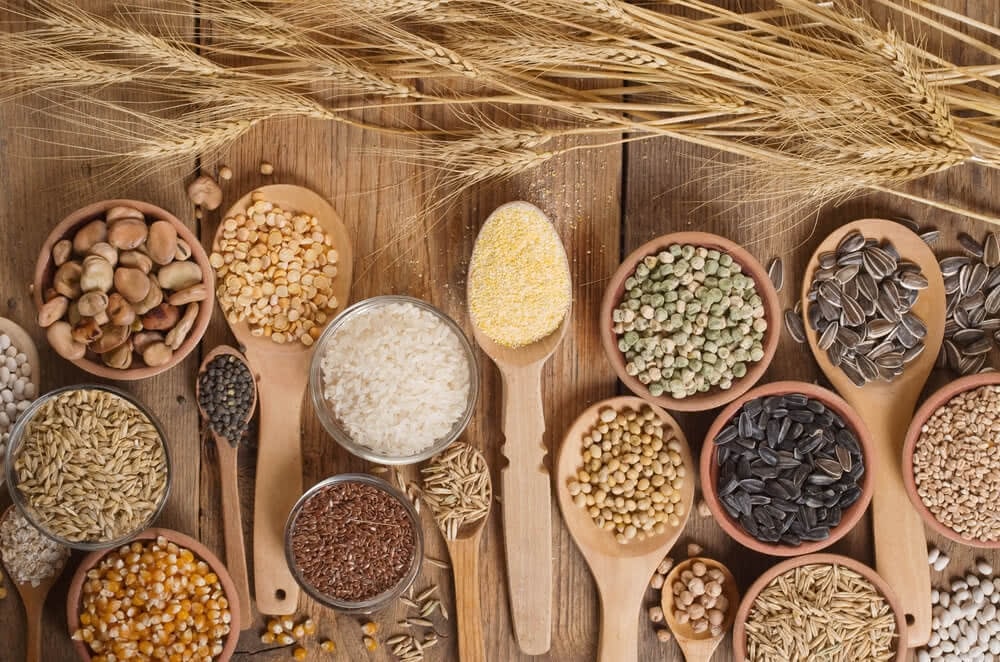 Top Vegetable Seed for Winter Sowing