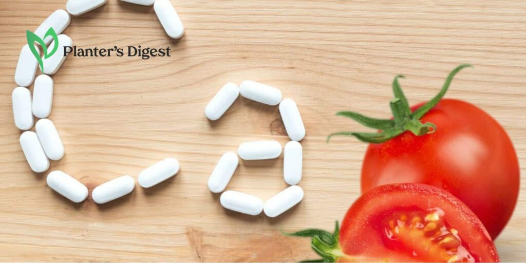 Why Tomato Plants Like Calcium