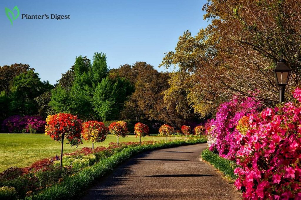 Best Shrubs for Zone 6 Garden