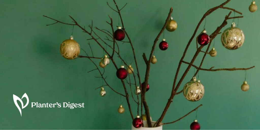 Eco Alternatives to Traditional Christmas Trees