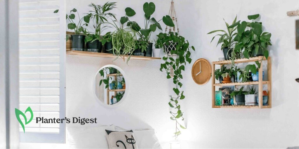 How To Decorate Small Space With Plants