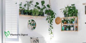 How To Decorate Small Space With Plants