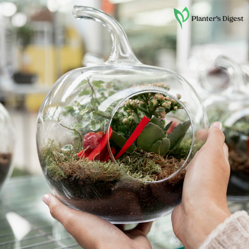 How to Use Cloches in Garden