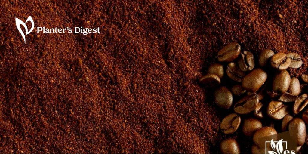 20 Plants That Like Coffee Grounds and How to Use Them