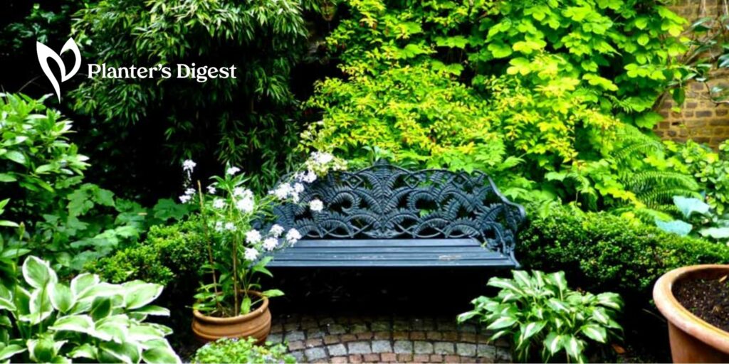 Best Fertilizer with Iron for Gardens