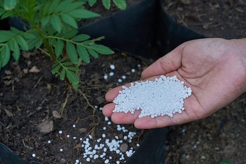 The Nutrient Powerhouse Using Calcium-Infused Fertilizer