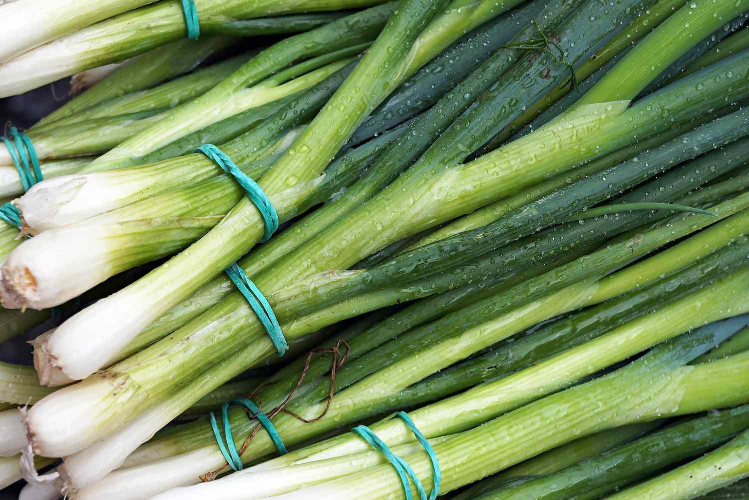 Bunching Onions: Your Guide to Picking and Growing