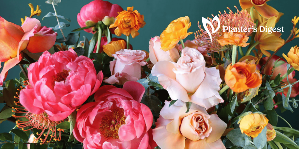 Pretty Plants 25 Best Types of Flowers