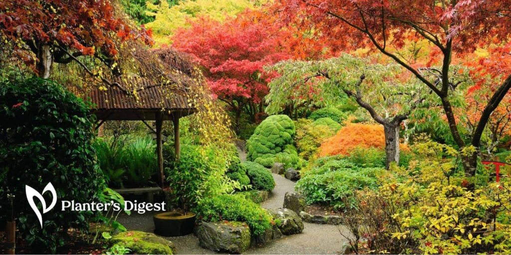 10 Traditional Japanese Plants for Your Garden