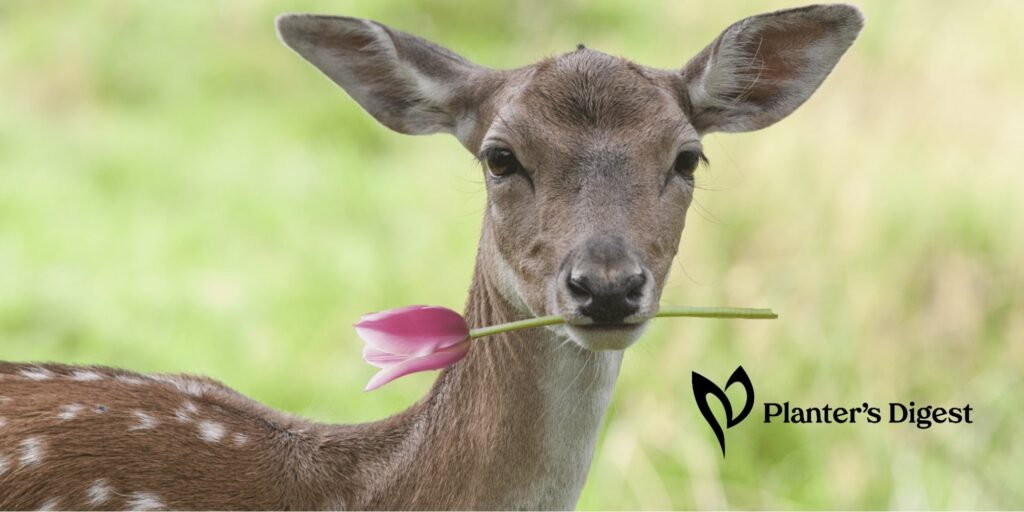 15 Plants That Attract Deer (Flowers, Vegetables, and Shrubs That Deers Love)